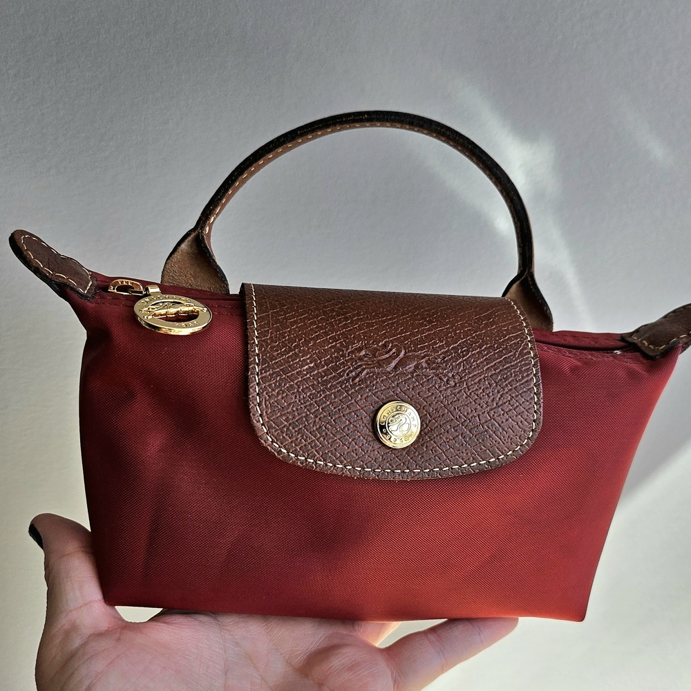 Chic Red and Brown Mini Bag with Gold Detail
